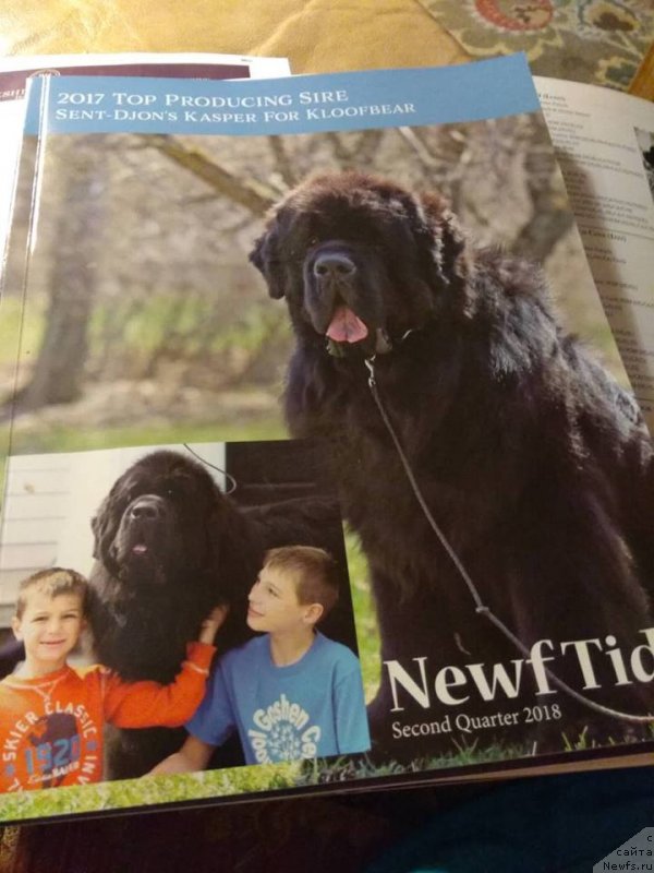 Фотография № 238832