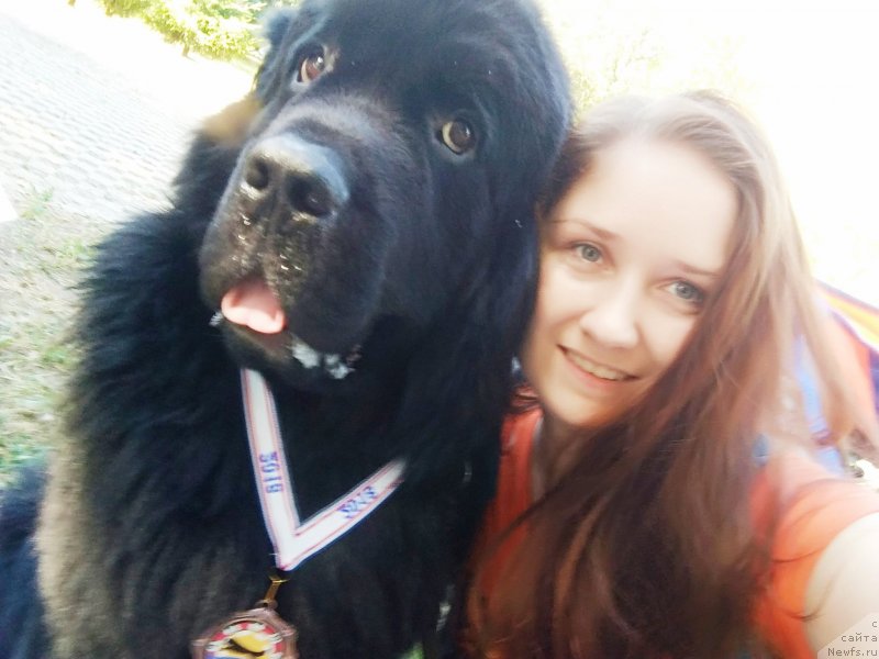 Фото: ньюфаундленд Черный Чанк с Берега Дона (Chernyj Chank s Berega Dona), Ирина Складнова