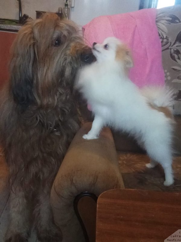 Фотография № 238838