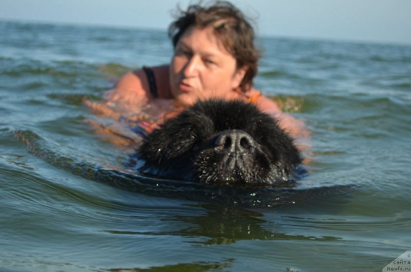 Фотография № 238875