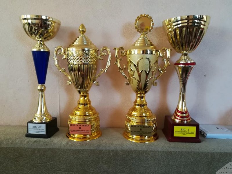 Фотография № 238885