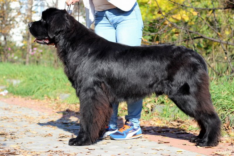 Фотография № 238888