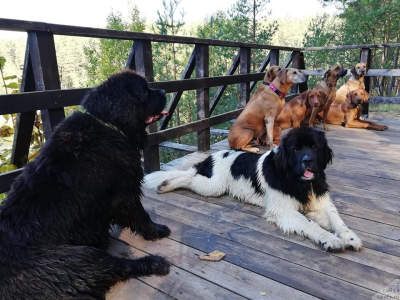 Фотография № 238908