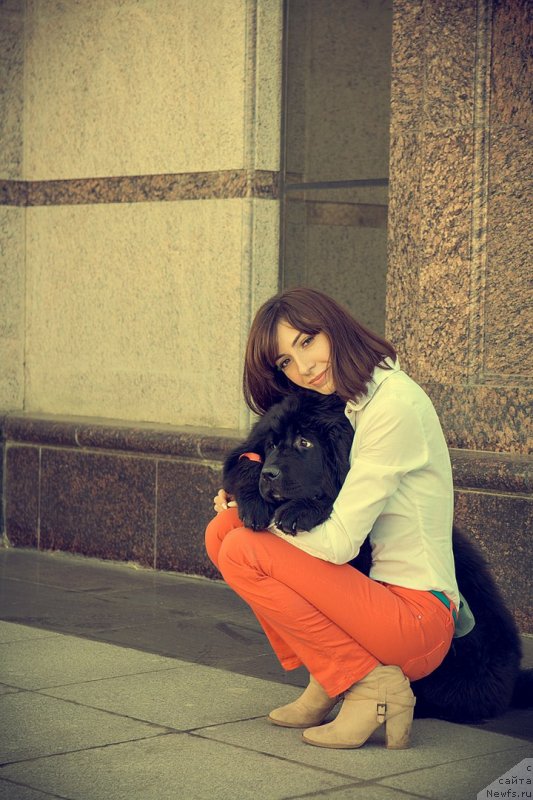 Фото: ньюфаундленд Прекрасная Патти (Prekrasnaya Patti), Мария Ермачкова