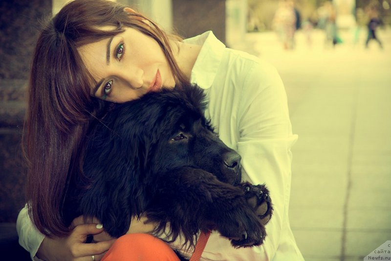Фото: ньюфаундленд Прекрасная Патти (Prekrasnaya Patti), Мария Ермачкова