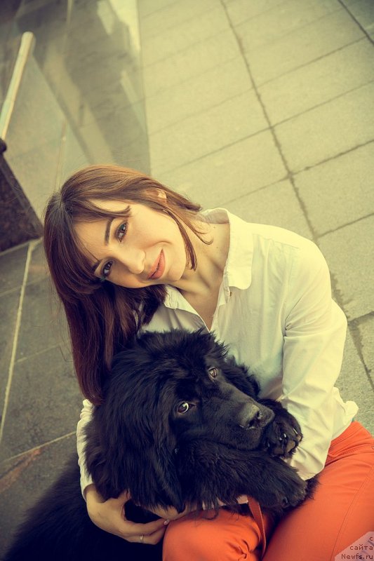 Фото: ньюфаундленд Прекрасная Патти (Prekrasnaya Patti), Мария Ермачкова