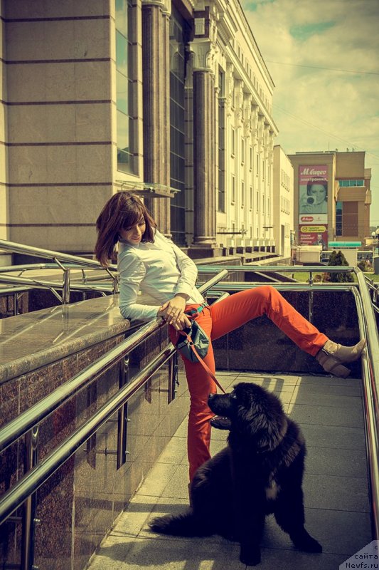 Фото: ньюфаундленд Прекрасная Патти (Prekrasnaya Patti), Мария Ермачкова