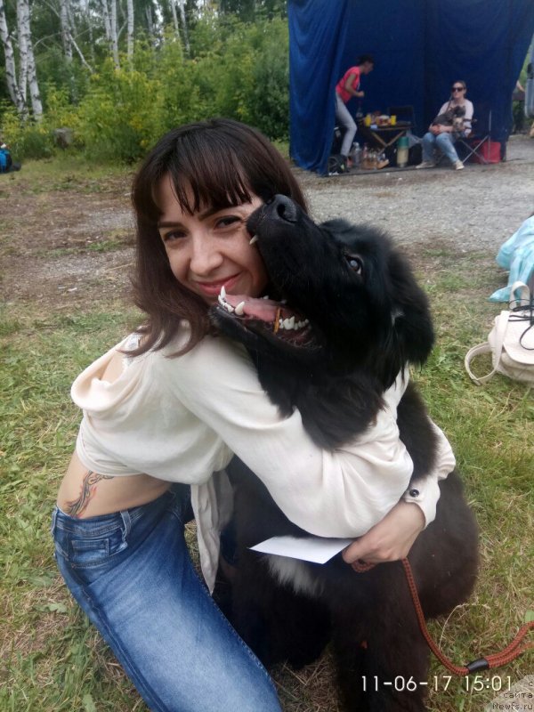 Фото: ньюфаундленд Прекрасная Патти (Prekrasnaya Patti), Мария Ермачкова