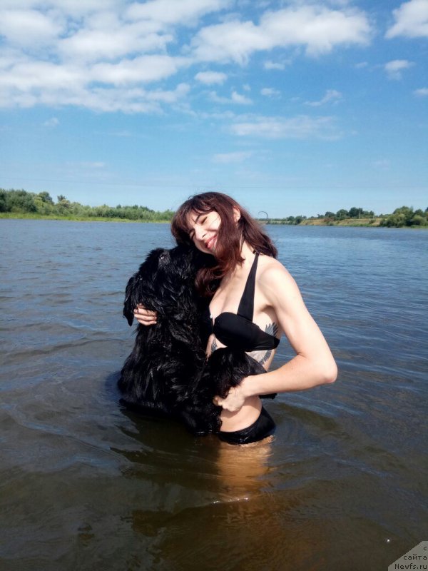 Фото: ньюфаундленд Прекрасная Патти (Prekrasnaya Patti), Мария Ермачкова