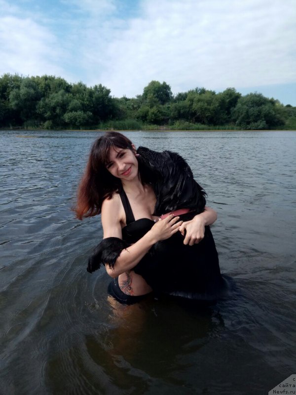 Фото: ньюфаундленд Прекрасная Патти (Prekrasnaya Patti), Мария Ермачкова