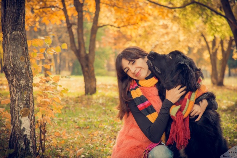 Фото: ньюфаундленд Прекрасная Патти (Prekrasnaya Patti), Мария Ермачкова