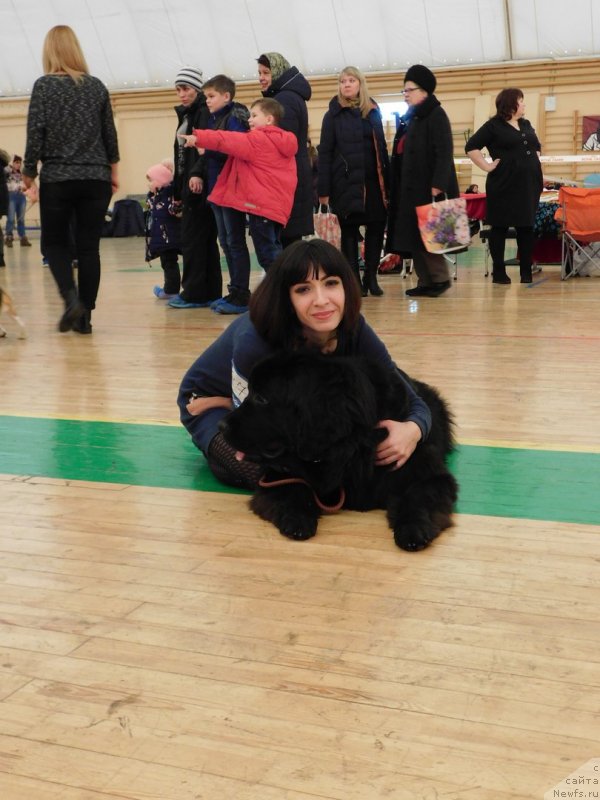 Фото: ньюфаундленд Прекрасная Патти (Prekrasnaya Patti), Мария Ермачкова