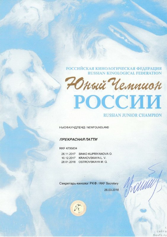 Фото: ньюфаундленд Прекрасная Патти (Prekrasnaya Patti), Мария Ермачкова