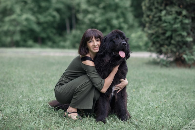 Фото: ньюфаундленд Прекрасная Патти (Prekrasnaya Patti), Мария Ермачкова