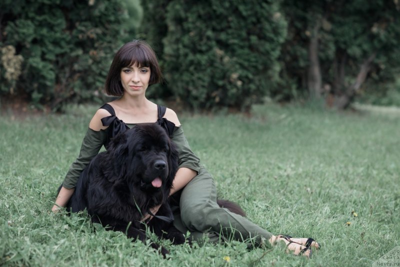 Фото: ньюфаундленд Прекрасная Патти (Prekrasnaya Patti), Мария Ермачкова