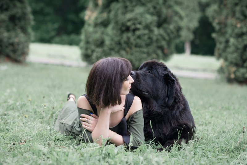 Фото: ньюфаундленд Прекрасная Патти (Prekrasnaya Patti), Мария Ермачкова