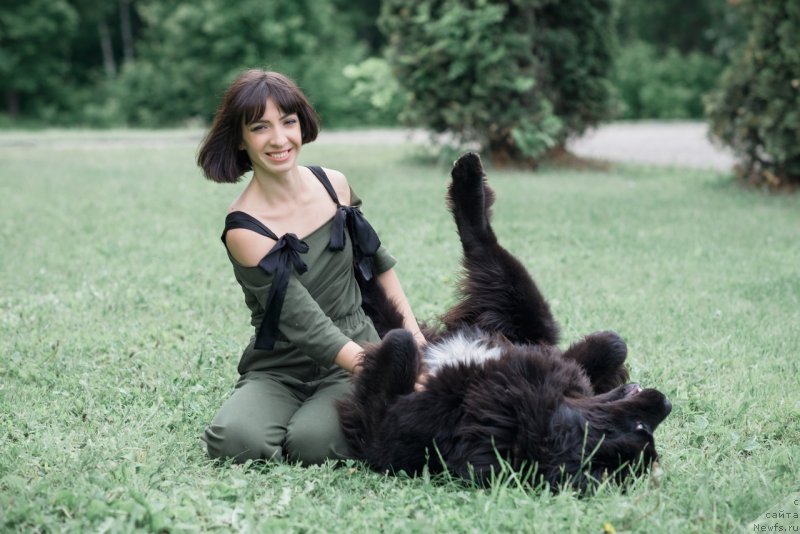 Фото: ньюфаундленд Прекрасная Патти (Prekrasnaya Patti), Мария Ермачкова
