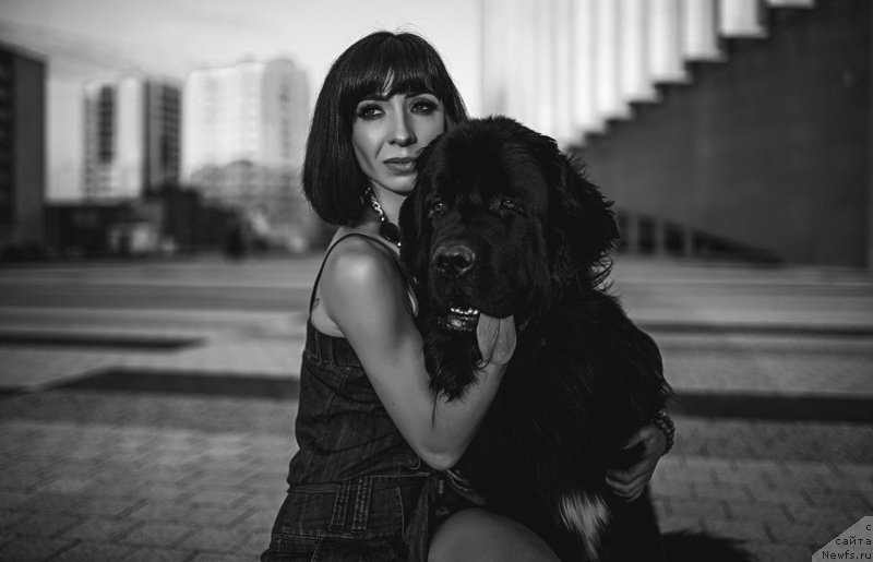 Фото: ньюфаундленд Прекрасная Патти (Prekrasnaya Patti), Мария Ермачкова