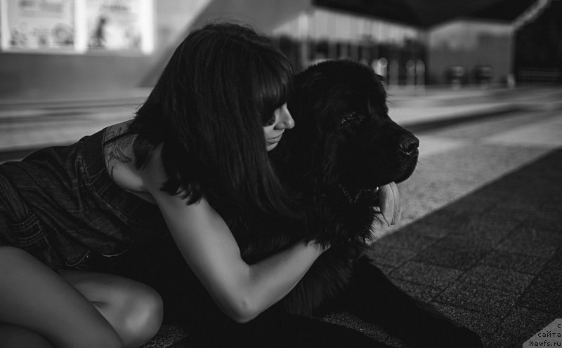 Фото: ньюфаундленд Прекрасная Патти (Prekrasnaya Patti), Мария Ермачкова