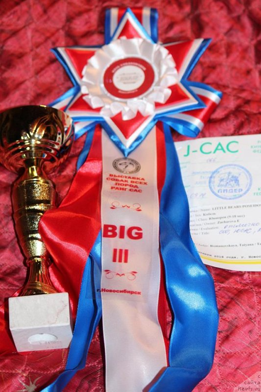 Фотография № 239110