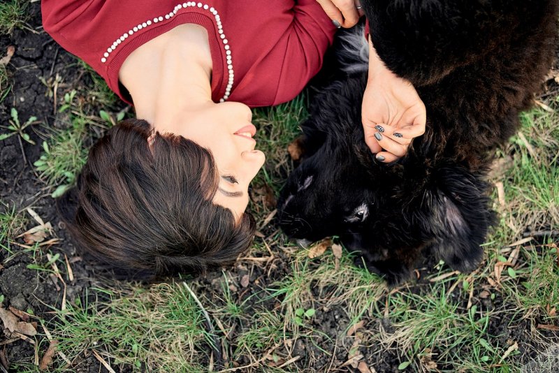 Фото: ньюфаундленд Белкондер-Клаб Мадам де Помпадур, Мария Ермачкова