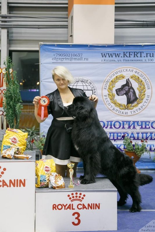 Фотография № 239284