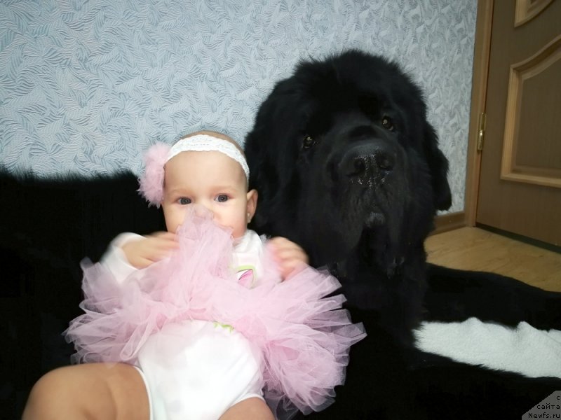 Фотография № 239321