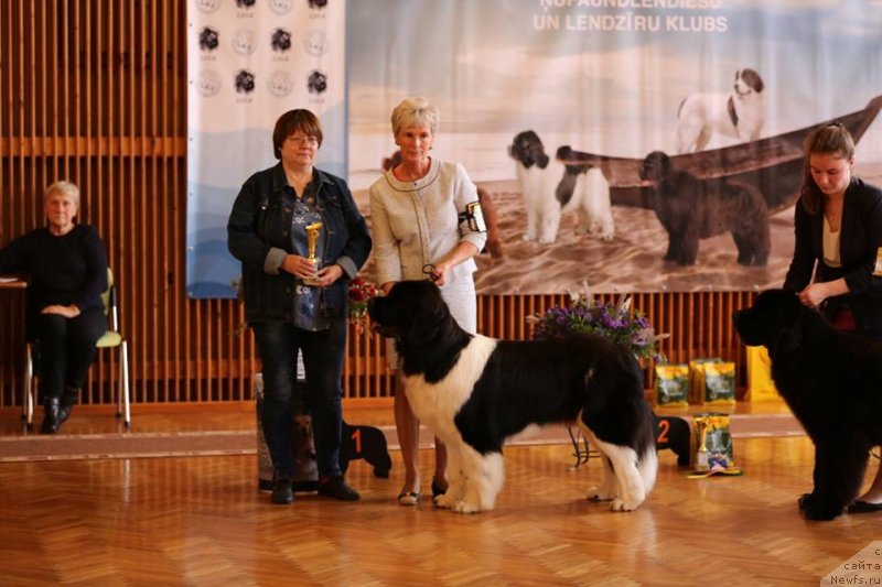 Фотография № 239347