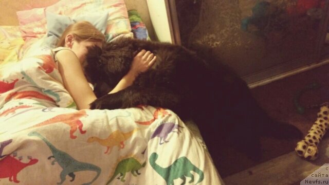 Фотография № 239356