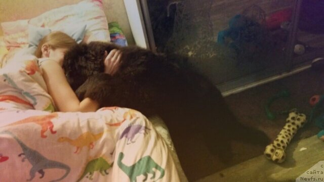 Фотография № 239357