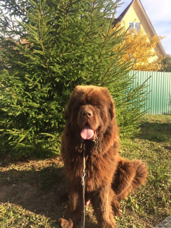 Фотография № 239376