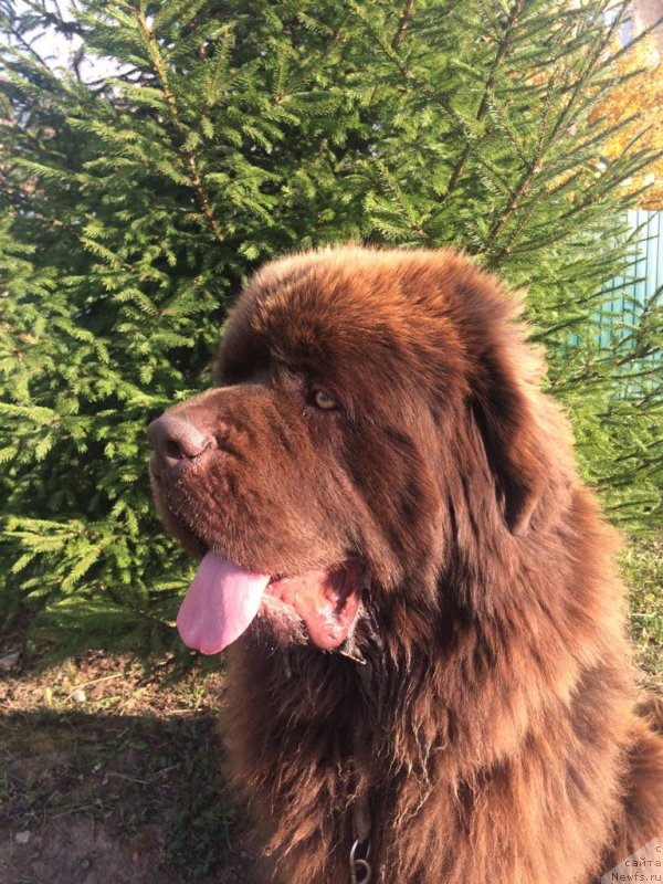 Фотография № 239377