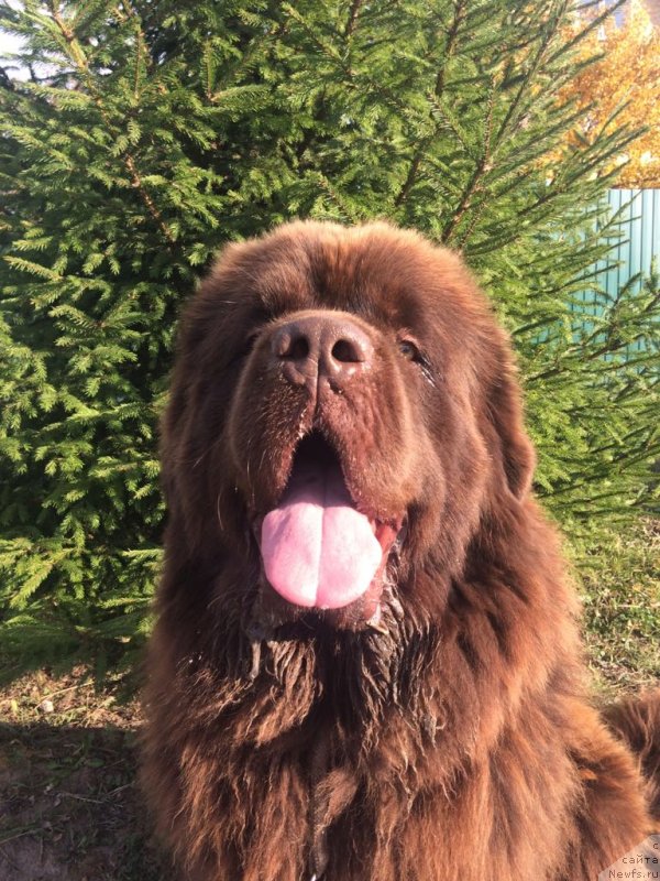 Фотография № 239378