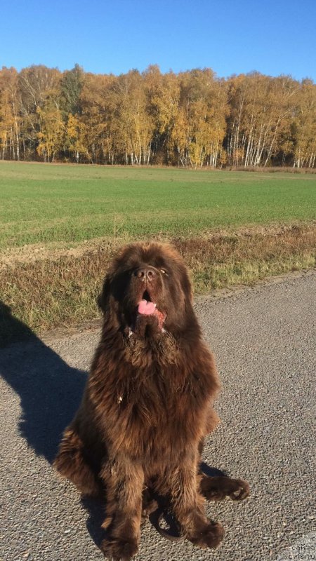 Фотография № 239379