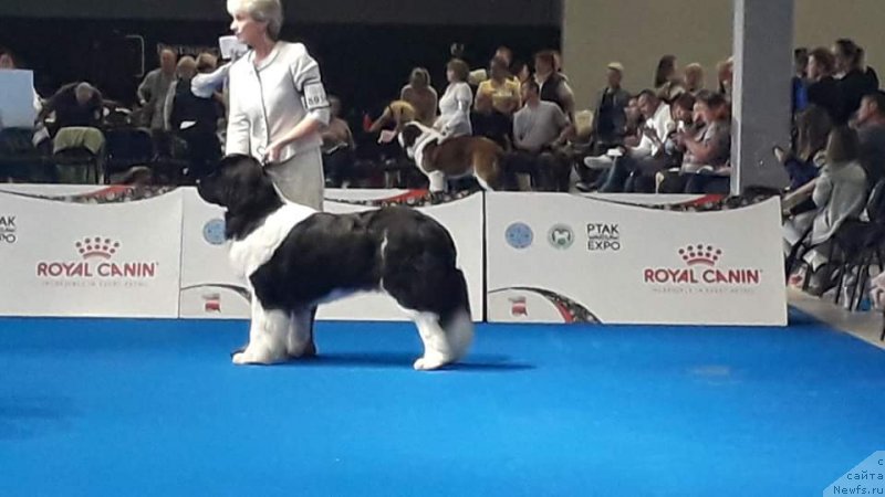 Фотография № 239385