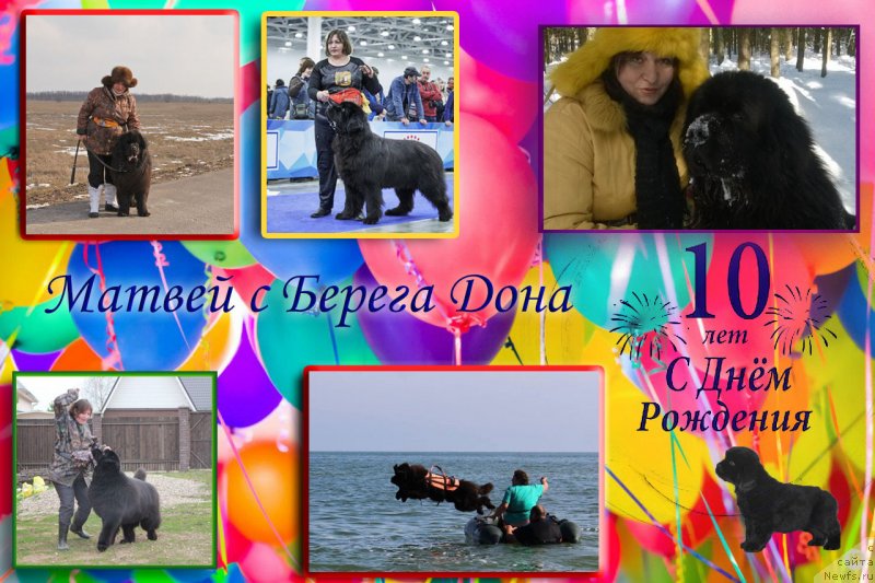 Фотография № 239399