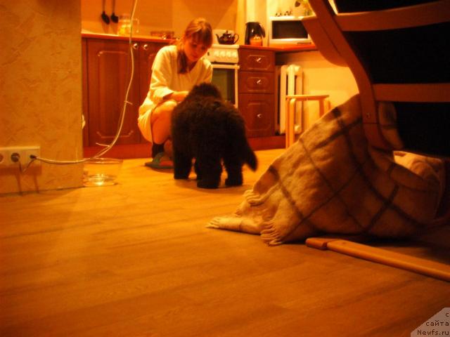 Фото: Дмитрий Ерофеев