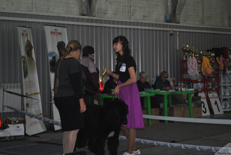 Фотография № 239556