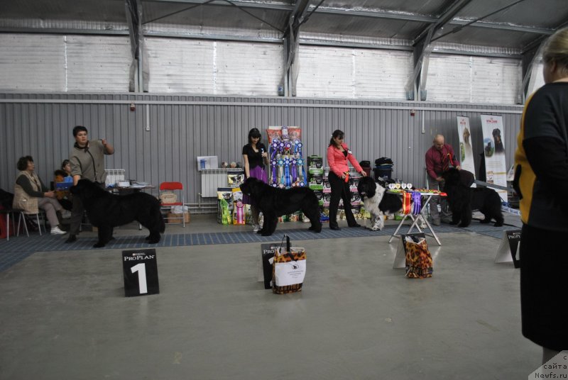 Фотография № 239558