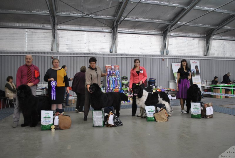 Фотография № 239559