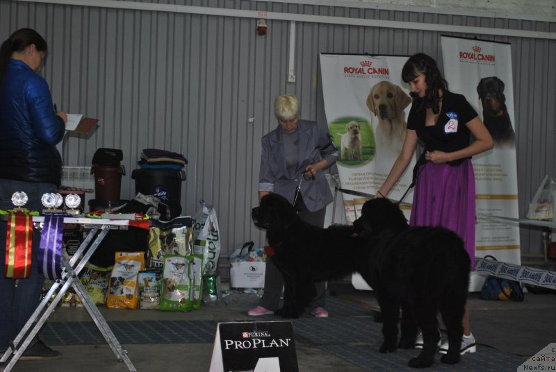 Фотография № 239560