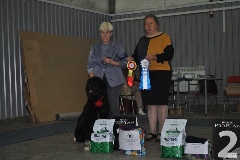 Фотография № 239561