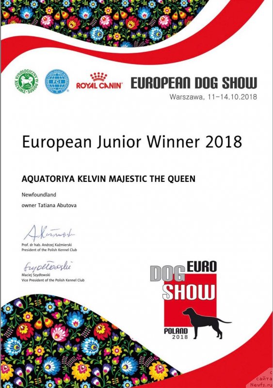 Фотография № 239587