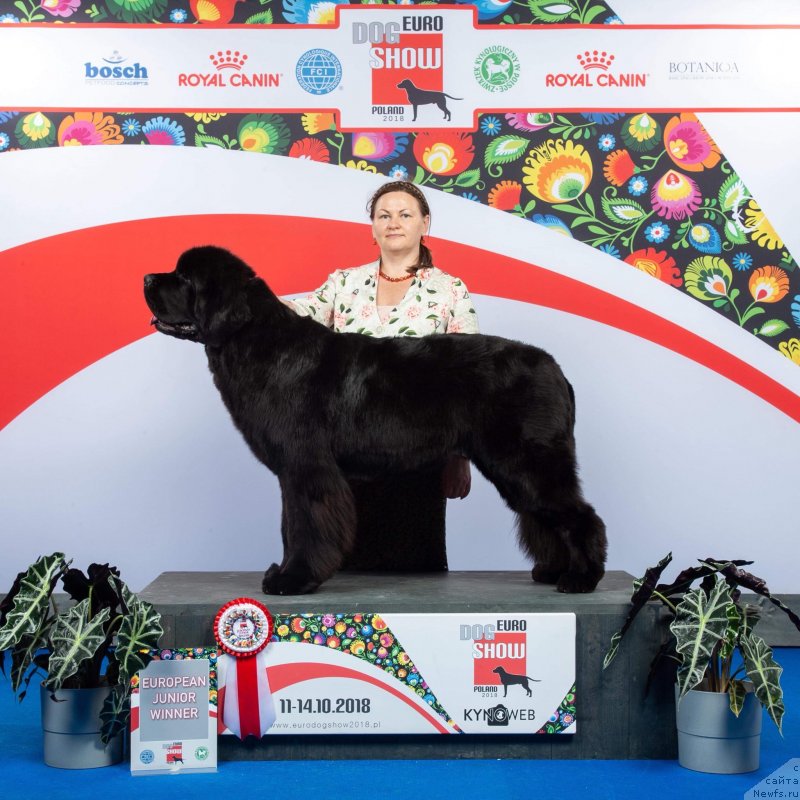 Фотография № 239588