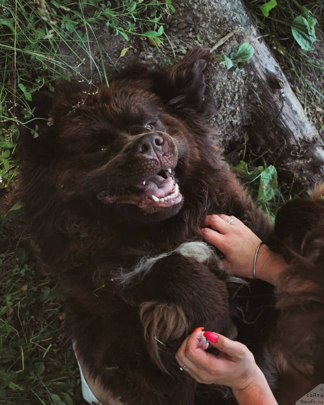 Фотография № 239607