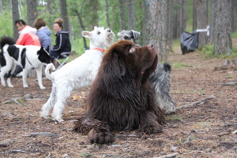 Фотография № 239611