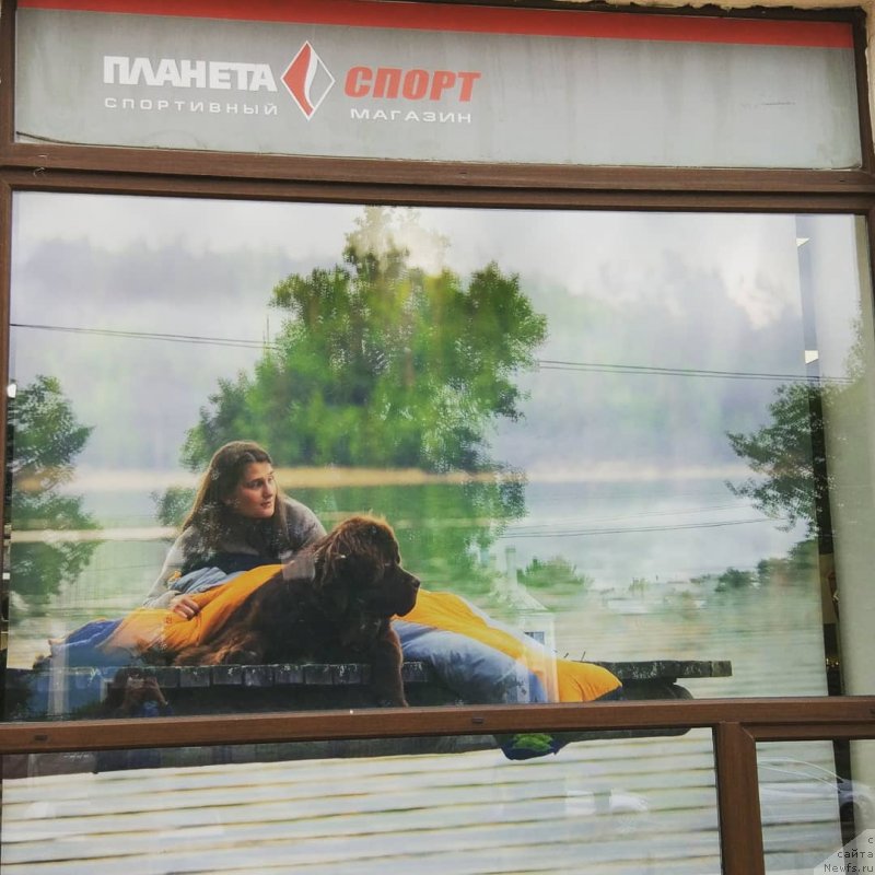 Фотография № 239614