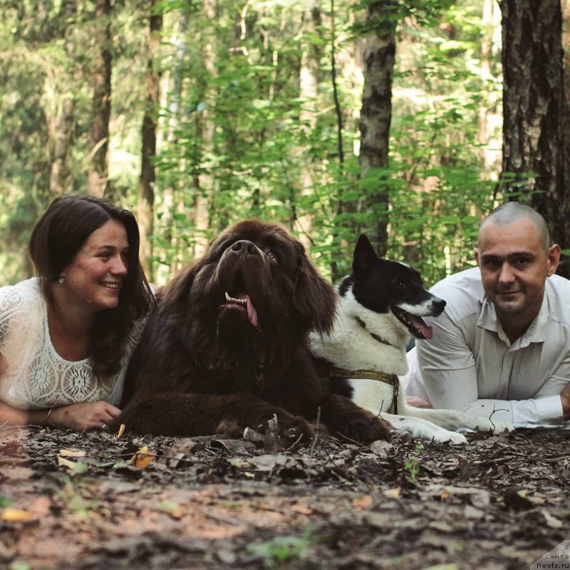 Фотография № 239616