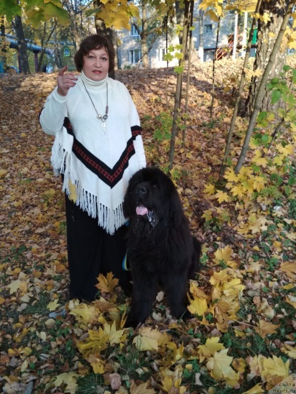 Фотография № 239662