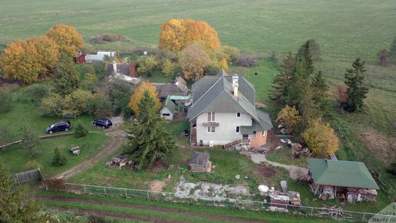 Фотография № 239666